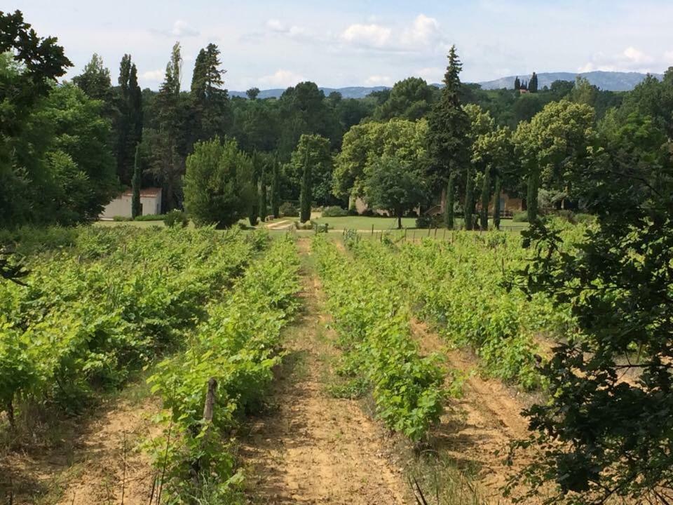 Mas Boudeissoun - Grain De Muscat - Baignade A 600 M Villa Mormoiron Eksteriør bilde